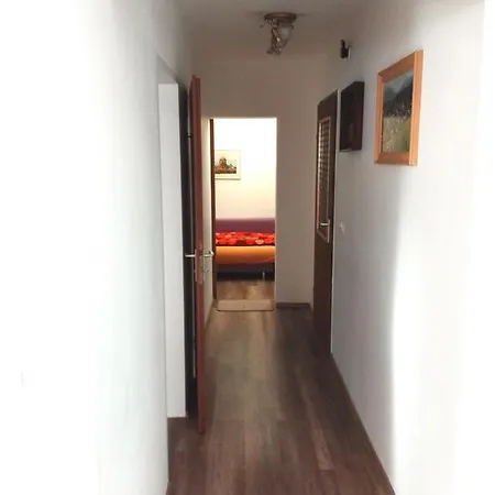 Haus Fink Apartment
