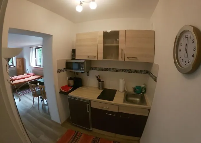 Haus Fink Διαμέρισμα *